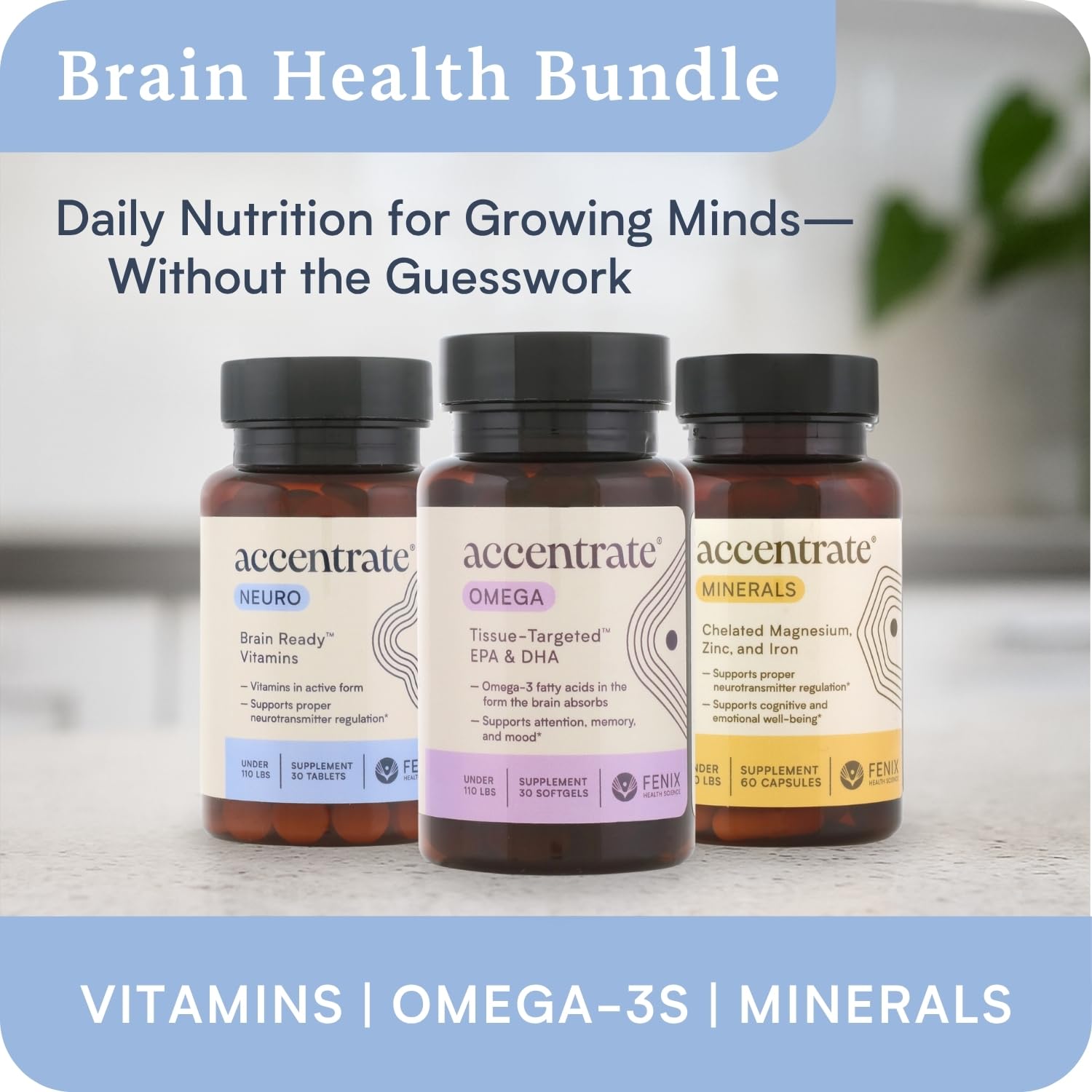 Accentrate Brain Supplement for Focus, Attention, Mood | Complete Vitamin B Complex | Brain Health | Methylated Multivitamin w/L-Methylfolate (5-MTHF), Cofactors Methyl-B12 & P5P | MTHFR Supplement - Maple Wellness Supplements