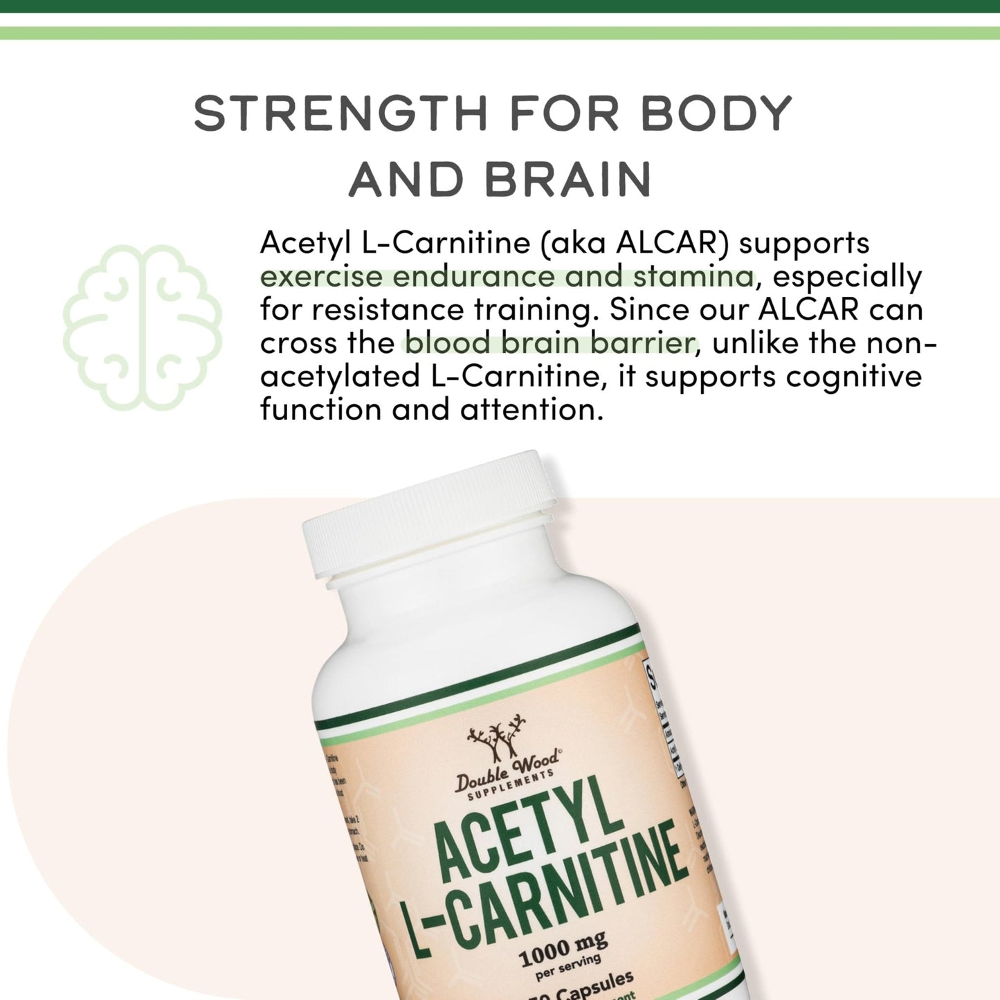 Acetyl L-Carnitine 1,000mg Per Serving, 150 Capsules (ALCAR for Brain Function Support, Memory, Attention, and Stamina) Acetyl L Carnitine That is Third Party Tested by Double Wood - Maple Wellness Supplements