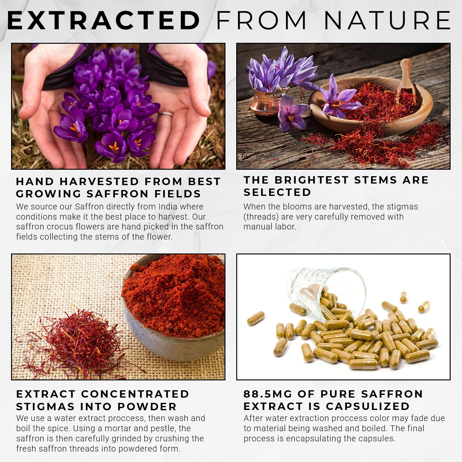 ACEWORKZ 100% Pure Saffron Extract - Appetite Suppressant for Weight Loss - Metabolis - Maple Wellness Supplements