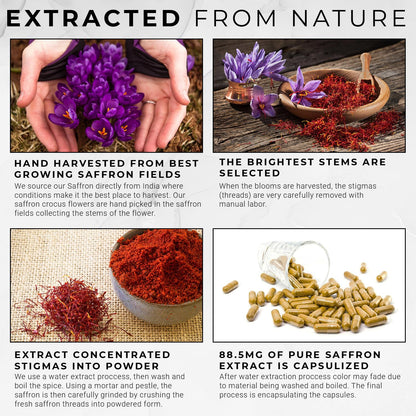 ACEWORKZ 100% Pure Saffron Extract - Appetite Suppressant for Weight Loss - Metabolis - Maple Wellness Supplements