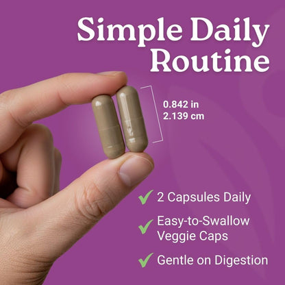 Activa Labs+ Hormone Balance for Women | Boost Energy, Mood, Libido and Focus | Supports Cycle&Menopause Comfort | Gluten, Soy&Lactose Free | 30 Day Supply - Maple Wellness Supplements