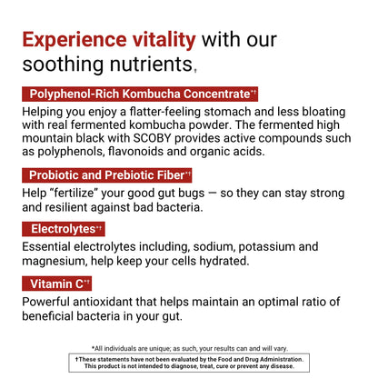 ACTIVATEDYOU Daily Digestive Tonic Kombucha - Support Healthy Digestion & Youthful, Long-Lasting Energy- Prebiotic Fiber, Probiotics, Postbiotics, Vitamin C, Berry Lemonade Flavor (30 Servings) - Maple Wellness Supplements