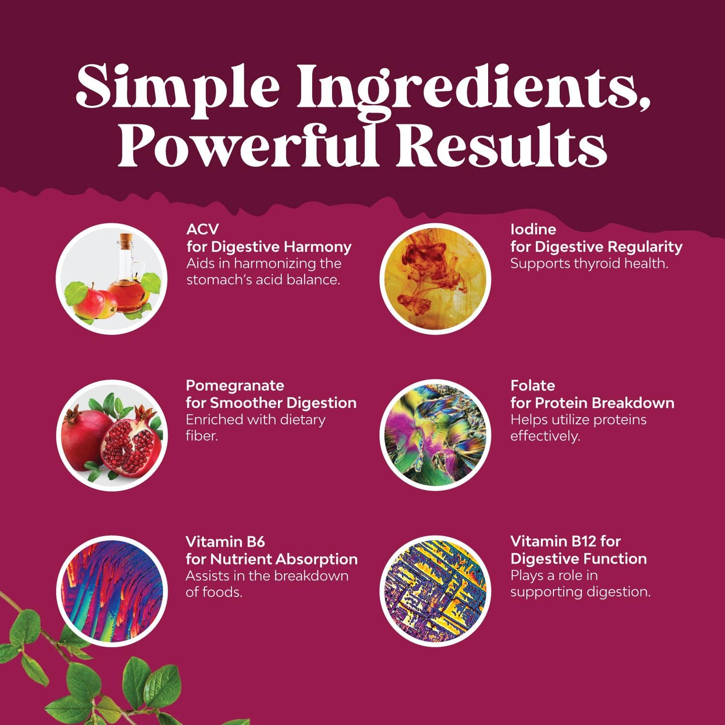 ACV Apple Cider Vinegar Gummies - Natural Energy Supplement ACV with Mother - Maple Wellness Supplements