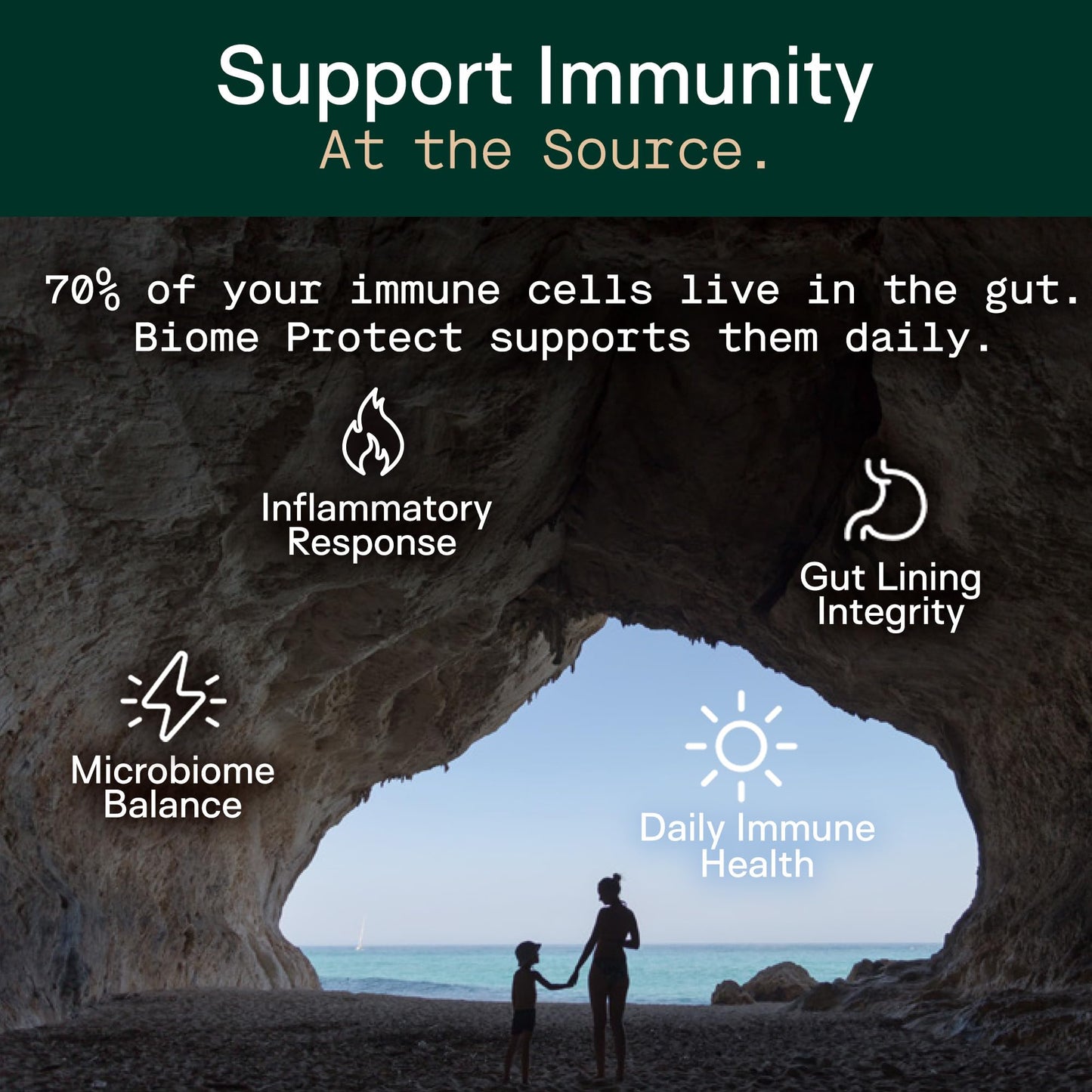 Adapt Naturals 4-in-1 Biome Protect Prebiotics, Probiotics Supplement Postbiotics & Polyphenols for Microbiome, Gut Health & Defense - Maple Wellness Supplements