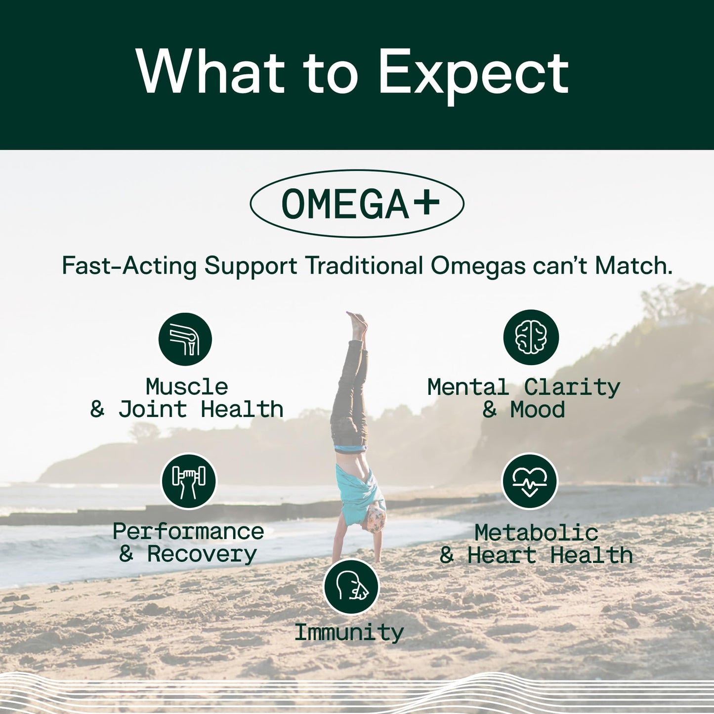 Adapt Naturals Omega 3 Fish Oil Supplement with Bioavailable Curcumin & Black Seed, 1500mg Fish Oil EPA DHA Omega 3 Fatty Acids to Support Joints, Muscles & Heart | Unflavored - 30 Days Supply - Maple Wellness Supplements