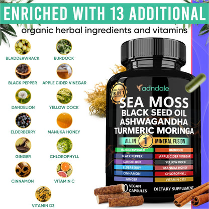 Adndale Sea Moss Capsules - Sea Moss Blend with Ashwagandha, Turmeric- 90 Count - Maple Wellness Supplements