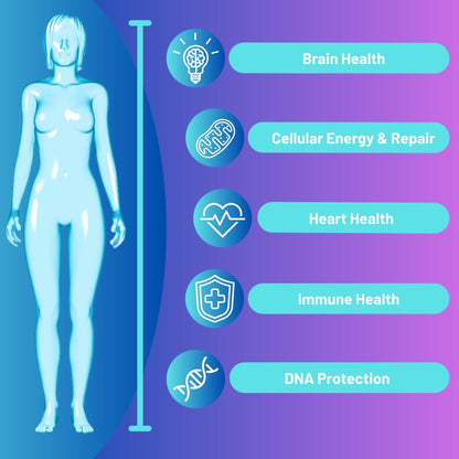 Advanced Bionetix NAD Supplement with Nicotinamide Riboside Plus Resveratrol, Quercetin, Betaine w/RiboYOUNG™ for True Anti Aging - Maple Wellness Supplements