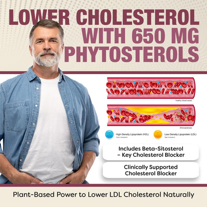 Advanced Cholesterol Health Complex with Plant Sterols. Cholesterol & Lipid Support Supplement for Healthy Heart & Cholesterol Levels for Men & Women. 120 Capsules - Maple Wellness Supplements