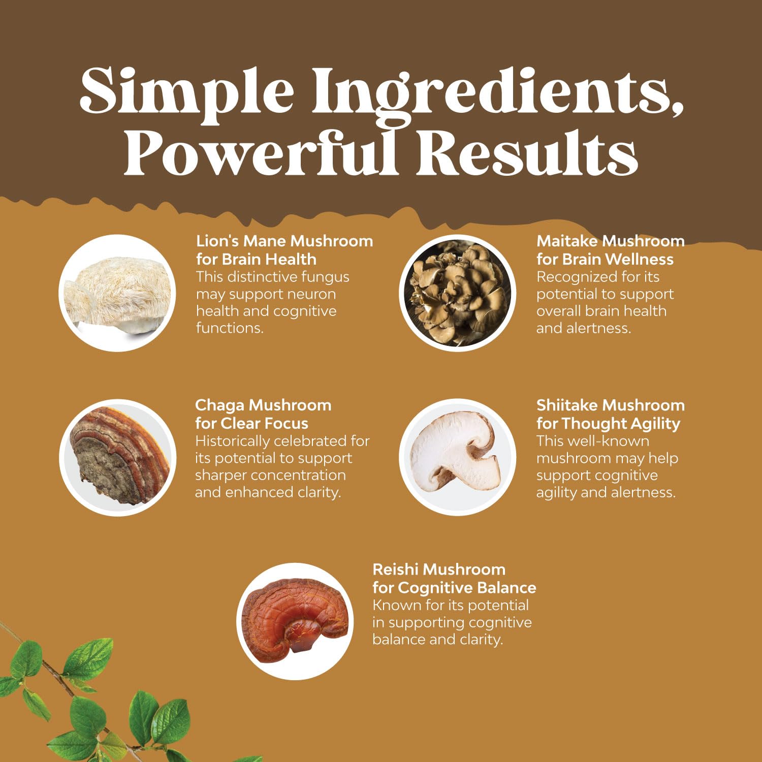 Advanced Lion's Mane Mushroom Supplement - Lions Mane Supplement Capsules with Reishi Chaga Maitake & Shiitake for Brain Health Memory Support & Focus - Nootropic for Mental Clarity - 120 Count - Maple Wellness Supplements