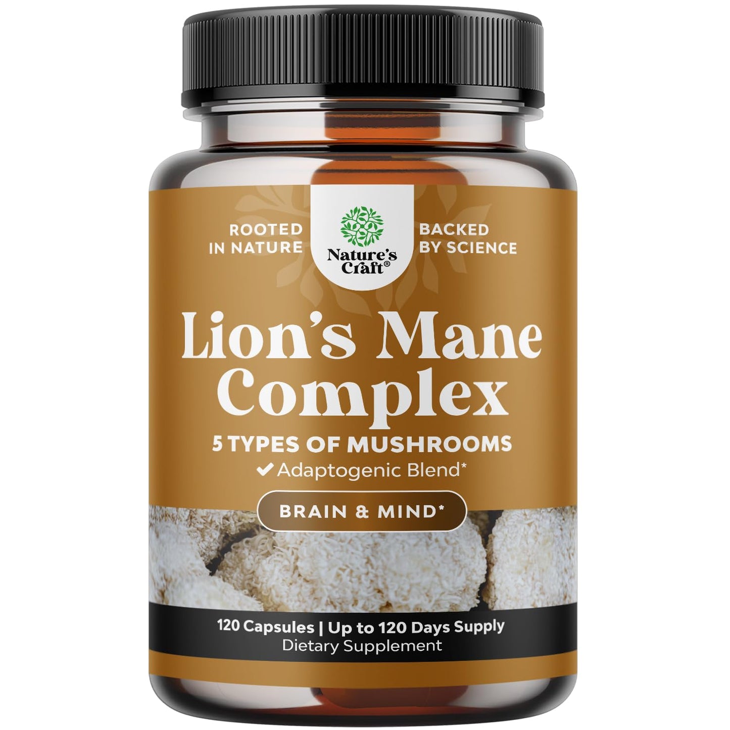Advanced Lion's Mane Mushroom Supplement - Lions Mane Supplement Capsules with Reishi Chaga Maitake & Shiitake for Brain Health Memory Support & Focus - Nootropic for Mental Clarity - 120 Count - Maple Wellness Supplements