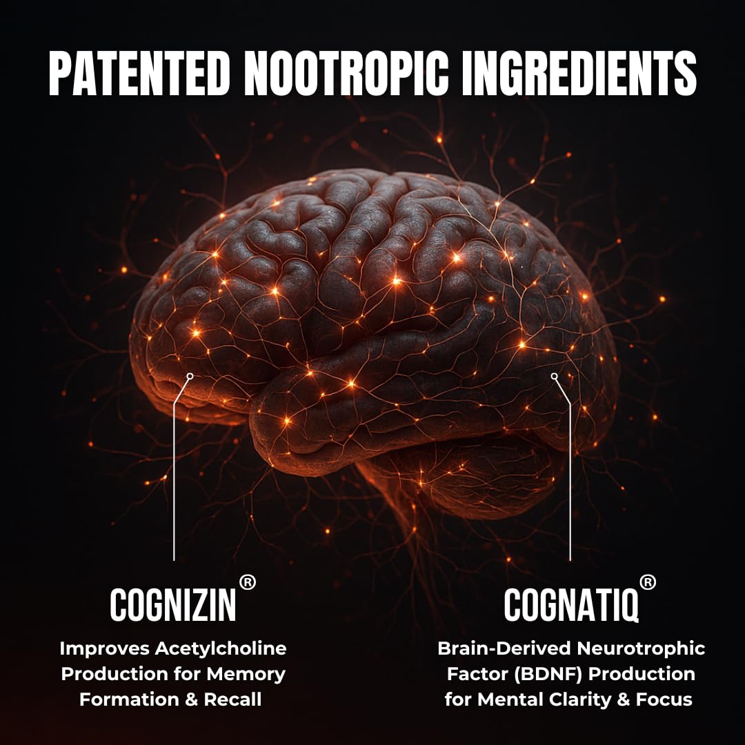 Advanced Nootropic Brain Supplement for Energy, Memory, & Focus | Lion's Mane, Caffeine, L-Theanine, and 5 Additional All-Natural Ingredients to Improve Cognitive Health (90 Capsules) - Maple Wellness Supplements