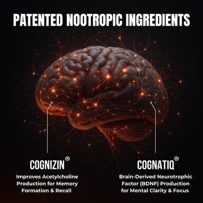 Advanced Nootropic Brain Supplement for Energy, Memory, & Focus | Lion's Mane, Caffeine, L-Theanine, and 5 Additional All-Natural Ingredients to Improve Cognitive Health (90 Capsules) - Maple Wellness Supplements