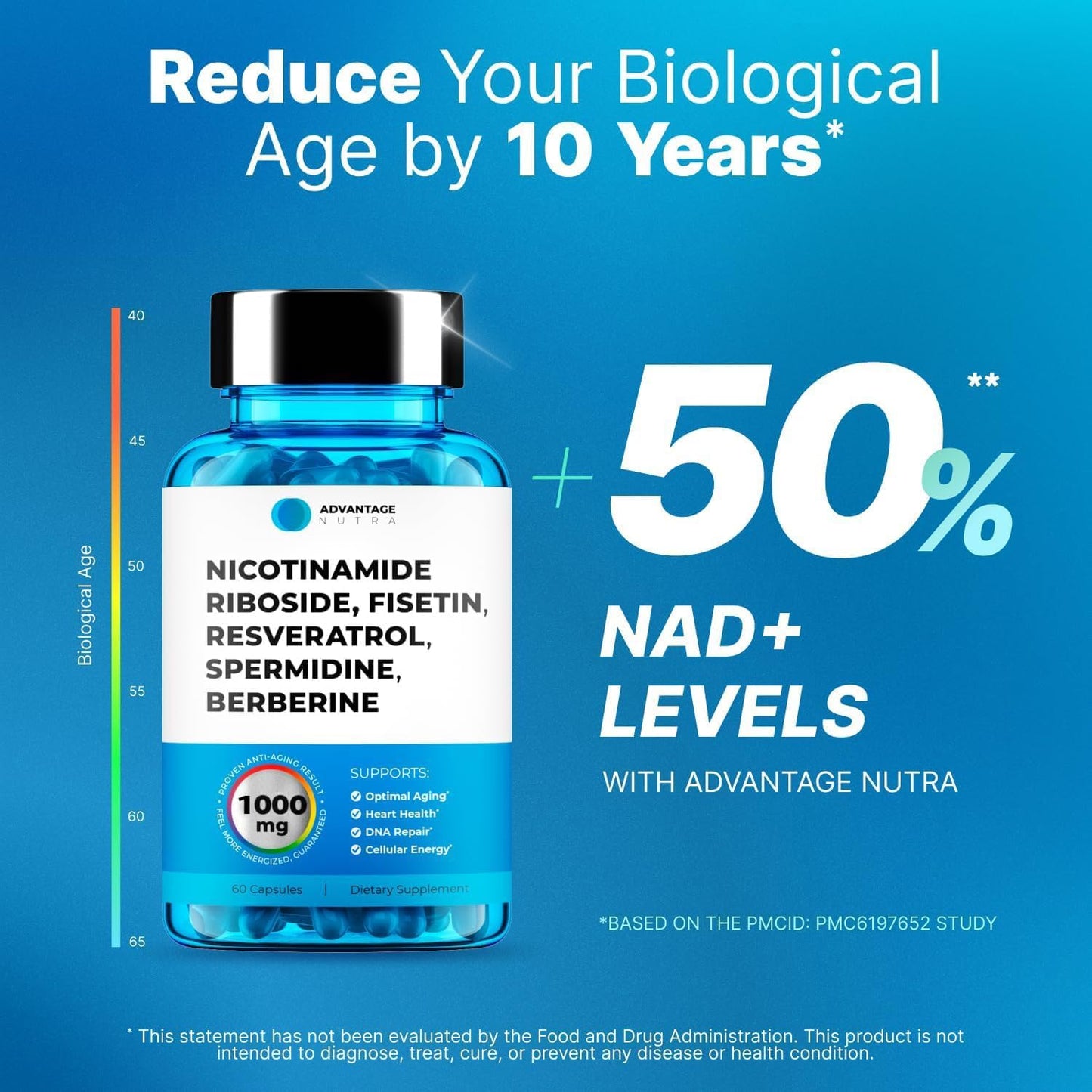 AdvantageNutra Liposomal Nicotinamide Riboside NR Supplement Resveratrol NAD : Nicotinamide 500mg w/Fisetin, Resveratrol Powder Spermidine Berberine NAD Resveratrol Supplement 500 mg - 60 caps 1 Pack - Maple Wellness Supplements