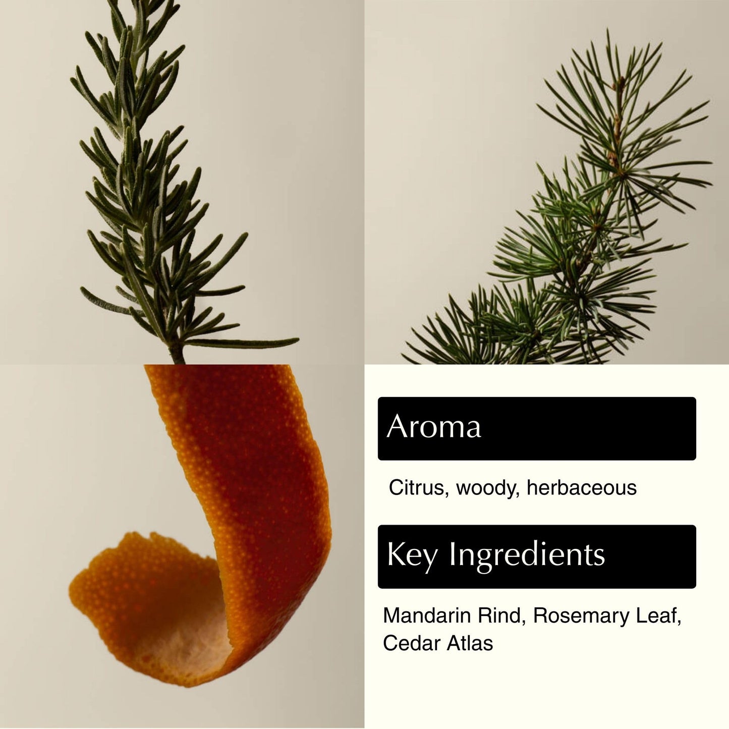 Aesop Resurrection Aromatique Hydrating Hand Wash | Gentle Non-Drying Hand Soap with Mandarin Rind, Rosemary, & Lavender - Maple Wellness Supplements