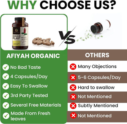 Afiyah Organic - Premium Quality Costus Igneus (Insulin Plant) Capsules - Easy to Swallow 120 Veggie Capsules (1 Month Supply) - Made in the USA - Including Complete Health Support Program - Maple Wellness Supplements