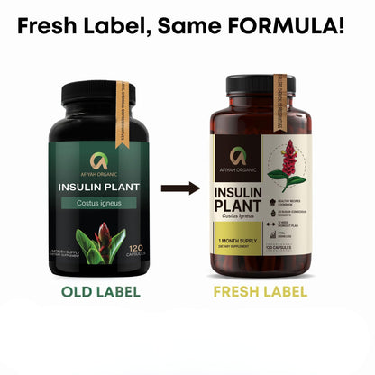 Afiyah Organic - Premium Quality Costus Igneus (Insulin Plant) Capsules - Easy to Swallow 120 Veggie Capsules (1 Month Supply) - Made in the USA - Including Complete Health Support Program - Maple Wellness Supplements