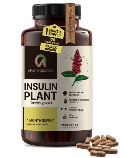 Afiyah Organic - Premium Quality Costus Igneus (Insulin Plant) Capsules - Easy to Swallow 120 Veggie Capsules (1 Month Supply) - Made in the USA - Including Complete Health Support Program - Maple Wellness Supplements