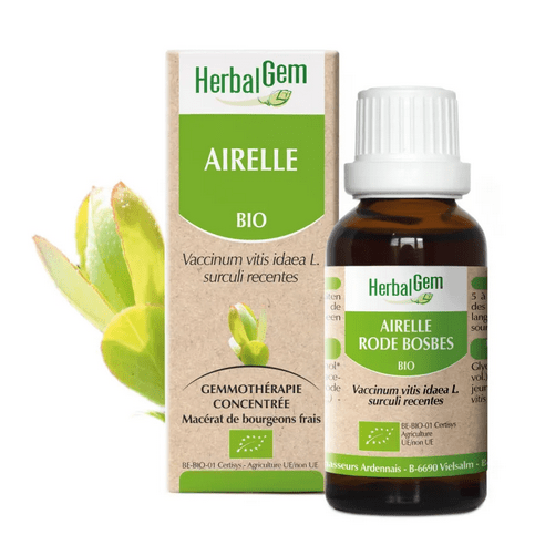 Airelle BIO Macérat mère Bourgeons Flacon 30 ml HERBALGEM - Maple Wellness Supplements