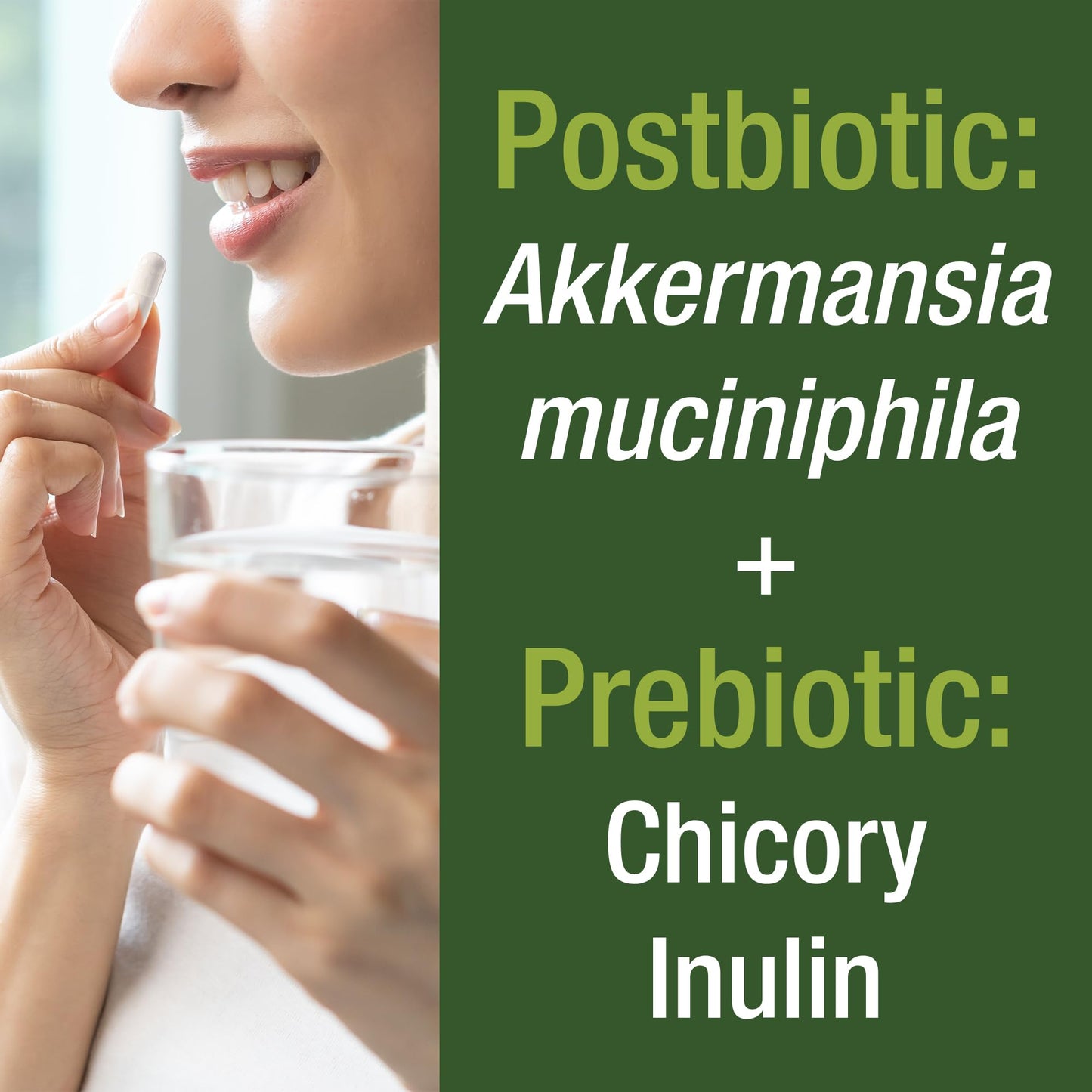 Akkermansia Probiotic to Increase GLP-1 Production. Ultra High Strength Akkermansia Muciniphila Live Strain with Prebiotic Fiber for Gut Health & Microbiome Balance. Delayed Release, 3rd Party Tested - Maple Wellness Supplements