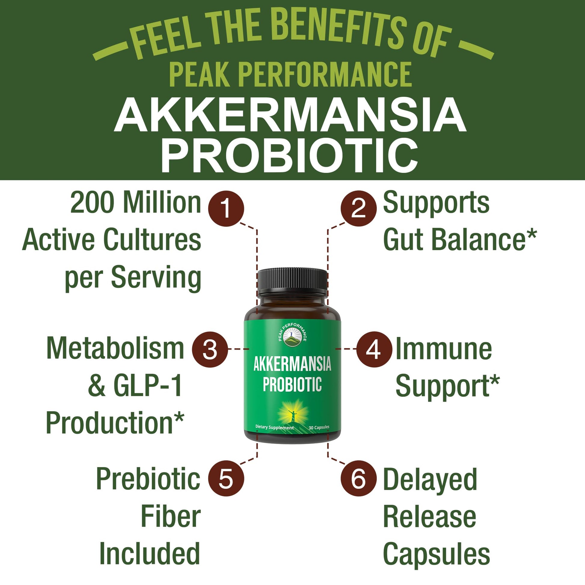 Akkermansia Probiotic to Increase GLP-1 Production. Ultra High Strength Akkermansia Muciniphila Live Strain with Prebiotic Fiber for Gut Health & Microbiome Balance. Delayed Release, 3rd Party Tested - Maple Wellness Supplements