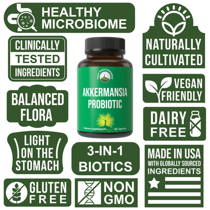 Akkermansia Probiotic to Increase GLP-1 Production. Ultra High Strength Akkermansia Muciniphila Live Strain with Prebiotic Fiber for Gut Health & Microbiome Balance. Delayed Release, 3rd Party Tested - Maple Wellness Supplements