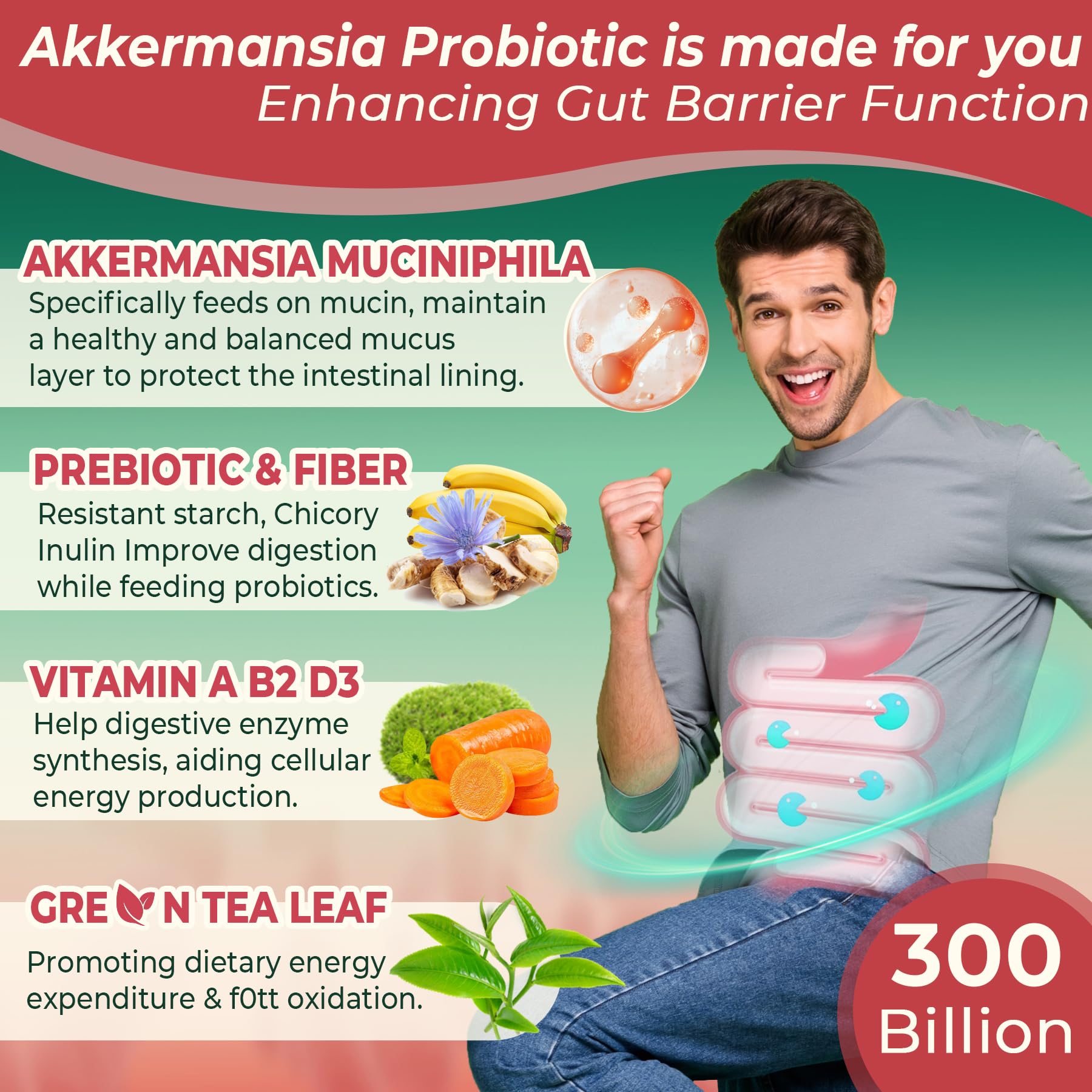 Akkermansia Probiotics Gummies with Prebiotics Fiber, 300 Billion AFU Akkermansia Muciniphila, with Polyphenol Fruits, Resistant Starch - Maple Wellness Supplements