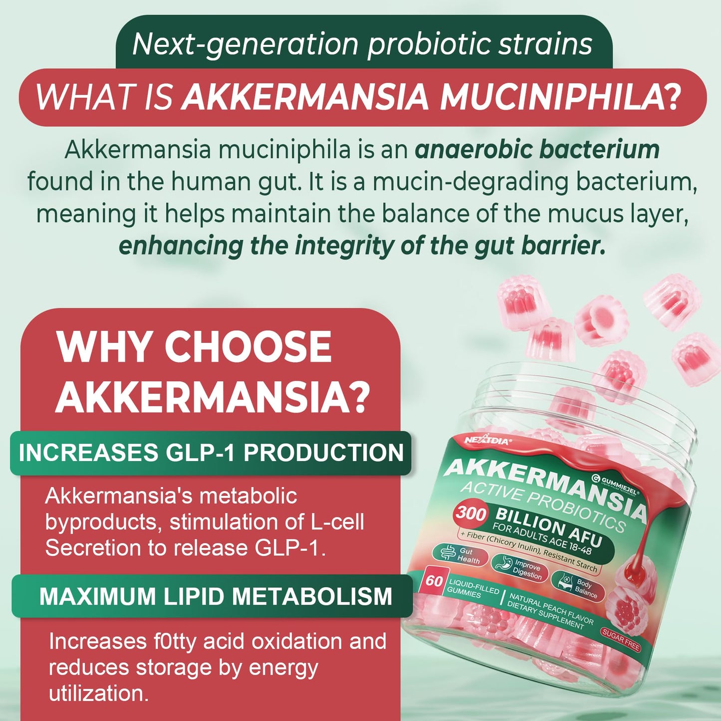 Akkermansia Probiotics Gummies with Prebiotics Fiber, 300 Billion AFU Akkermansia Muciniphila, with Polyphenol Fruits, Resistant Starch - Maple Wellness Supplements