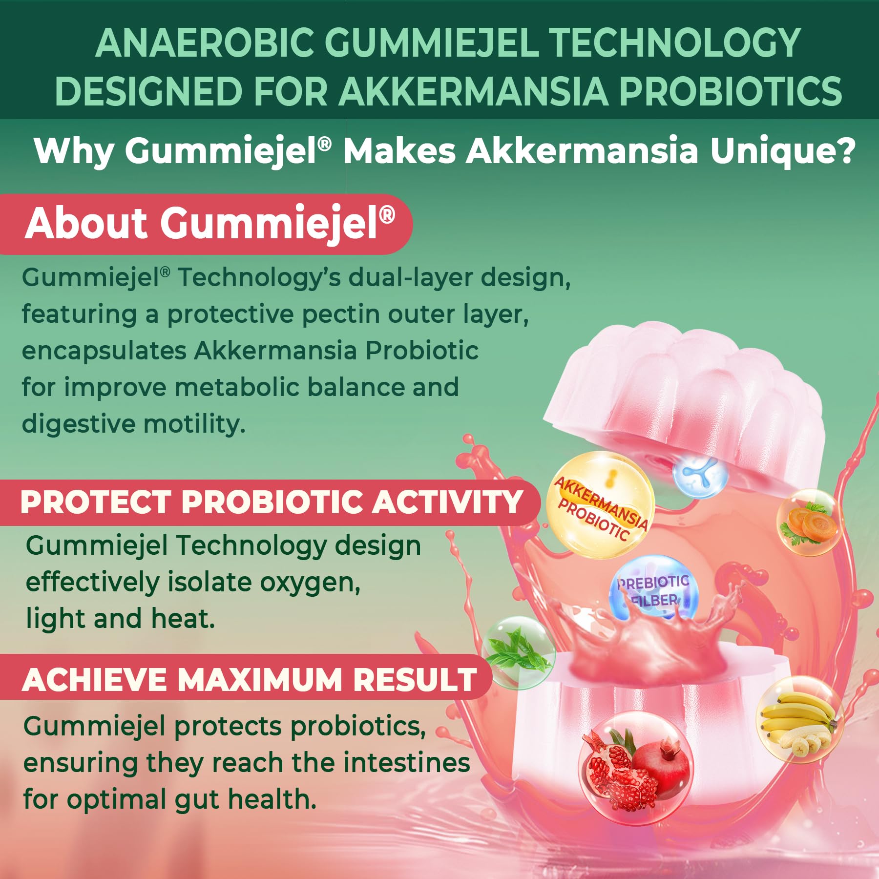 Akkermansia Probiotics Gummies with Prebiotics Fiber, 300 Billion AFU Akkermansia Muciniphila, with Polyphenol Fruits, Resistant Starch - Maple Wellness Supplements