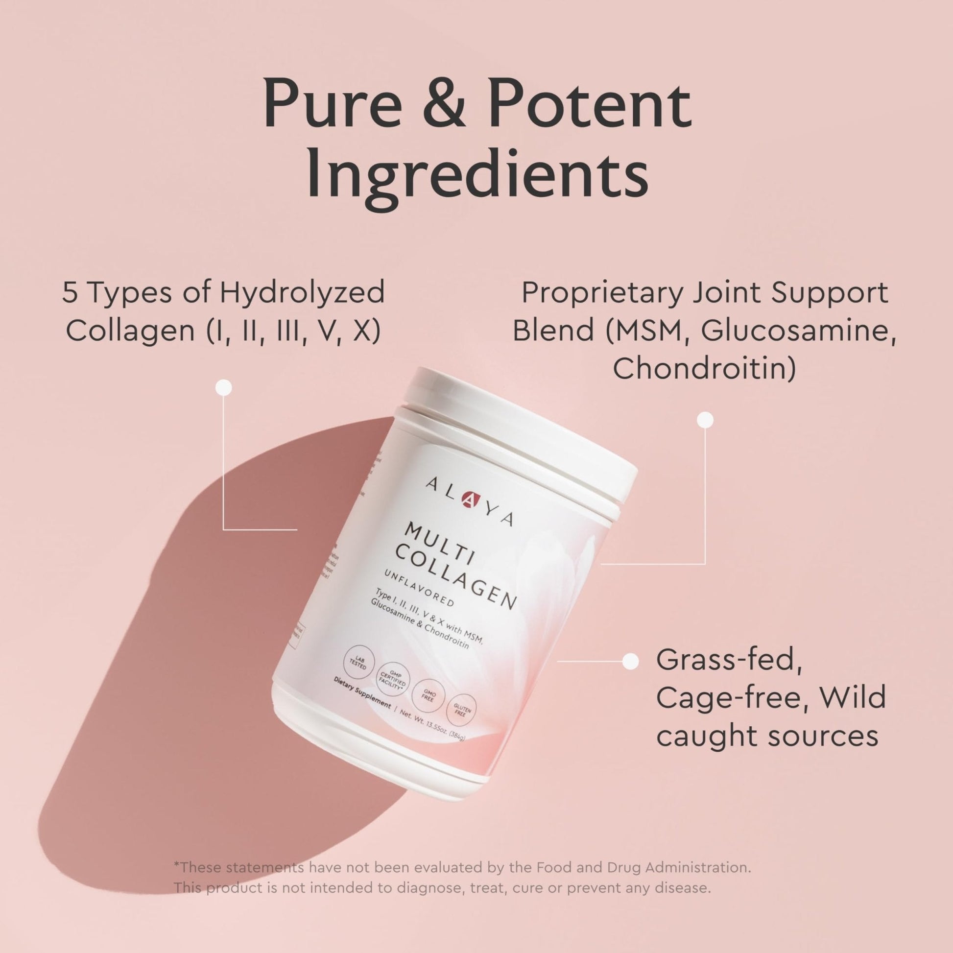 Alaya Multi Collagen Powder - Type I, II, III, V, X Hydrolyzed Collagen Peptides Protein Powder Supplement with MSM - Maple Wellness Supplements