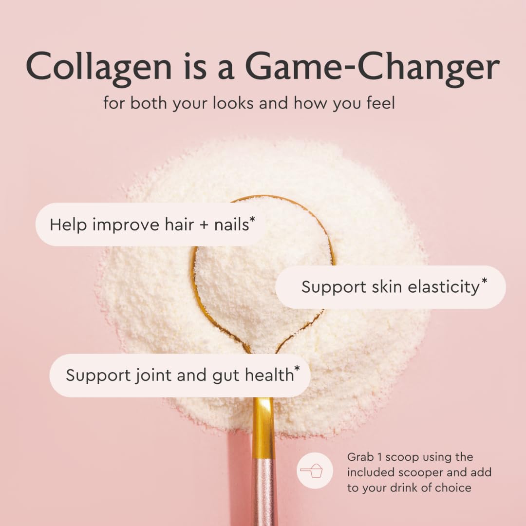 Alaya Multi Collagen Powder - Type I, II, III, V, X Hydrolyzed Collagen Peptides Protein Powder Supplement with MSM - Maple Wellness Supplements