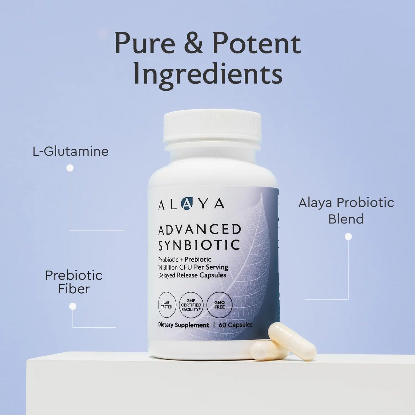 Alaya Naturals Advanced Synbiotic - Probiotic + Prebiotic - 14 Billion CFU Delayed Release Probiotic Supplement with Prebiotics from Sunfiber®, and L-glutamine for Gut Lining Integrity - 60 Capsules - Maple Wellness Supplements
