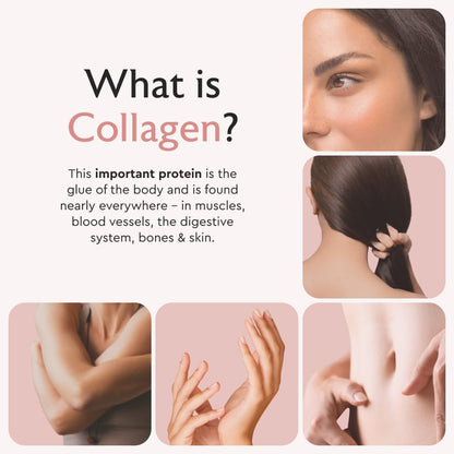 Alaya Naturals Hydrolyzed Multi Collagen Peptides Protein Capsules - Type I, II, III, V, X Grass-Fed Bovine, Chicken, Marine Collagen Supplement with MSM - Maple Wellness Supplements