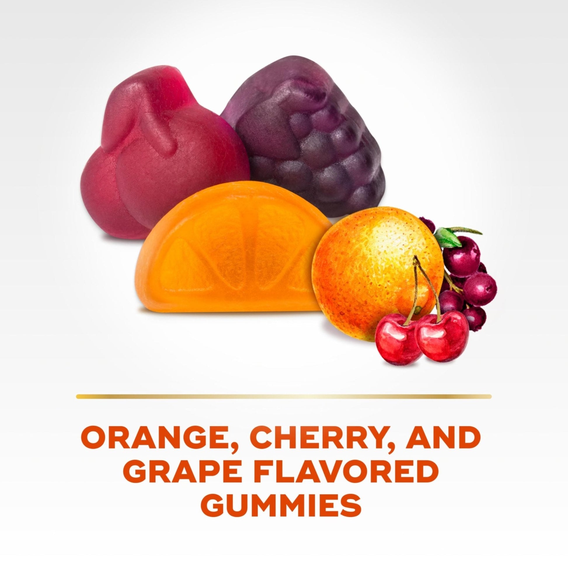 Align Dualbiotic, Prebiotics and Probiotics for Women and Men, Probiotics for Digestive Health, Prebiotics Help Nourish Good Bacteria - Maple Wellness Supplements