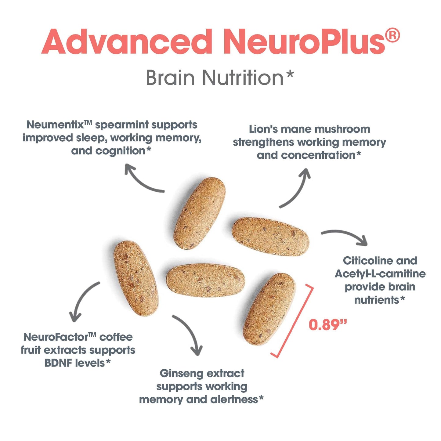 Allergy Research Group Advanced NeuroPlus - Nootropic Formula with Spearmint Extract, Lions Mane & Citicoline - Supports Working Memory Focus & Cognitive Function - 30 Servings - 90 Tablets - Maple Wellness Supplements