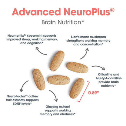 Allergy Research Group Advanced NeuroPlus - Nootropic Formula with Spearmint Extract, Lions Mane & Citicoline - Supports Working Memory Focus & Cognitive Function - 30 Servings - 90 Tablets - Maple Wellness Supplements