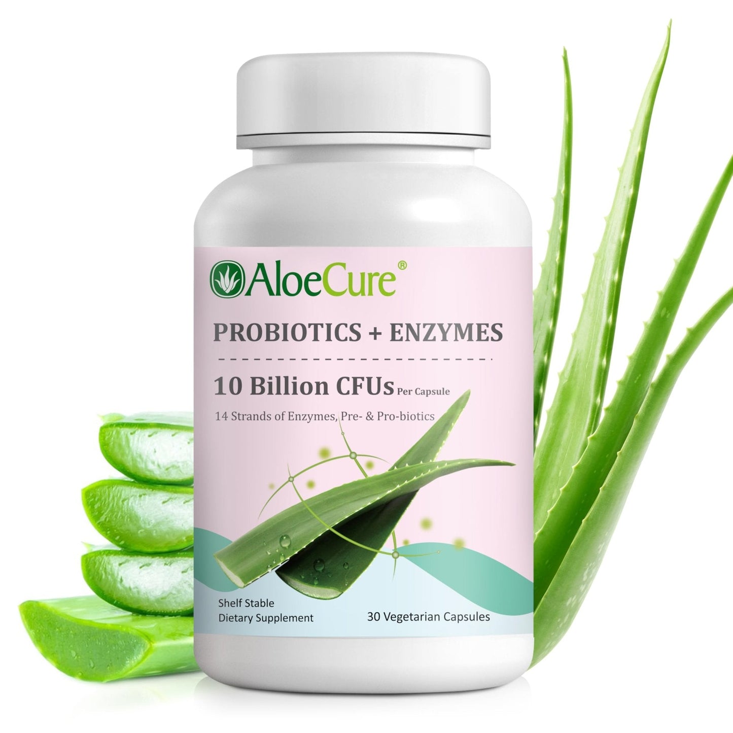 AloeCure Daily Probiotics 10 Billion CFU for Digestive Support 8 Strains, 6 Prebiotics & Enzymes - Digestive Supplement with Bromelain for Women & Men - Maple Wellness Supplements