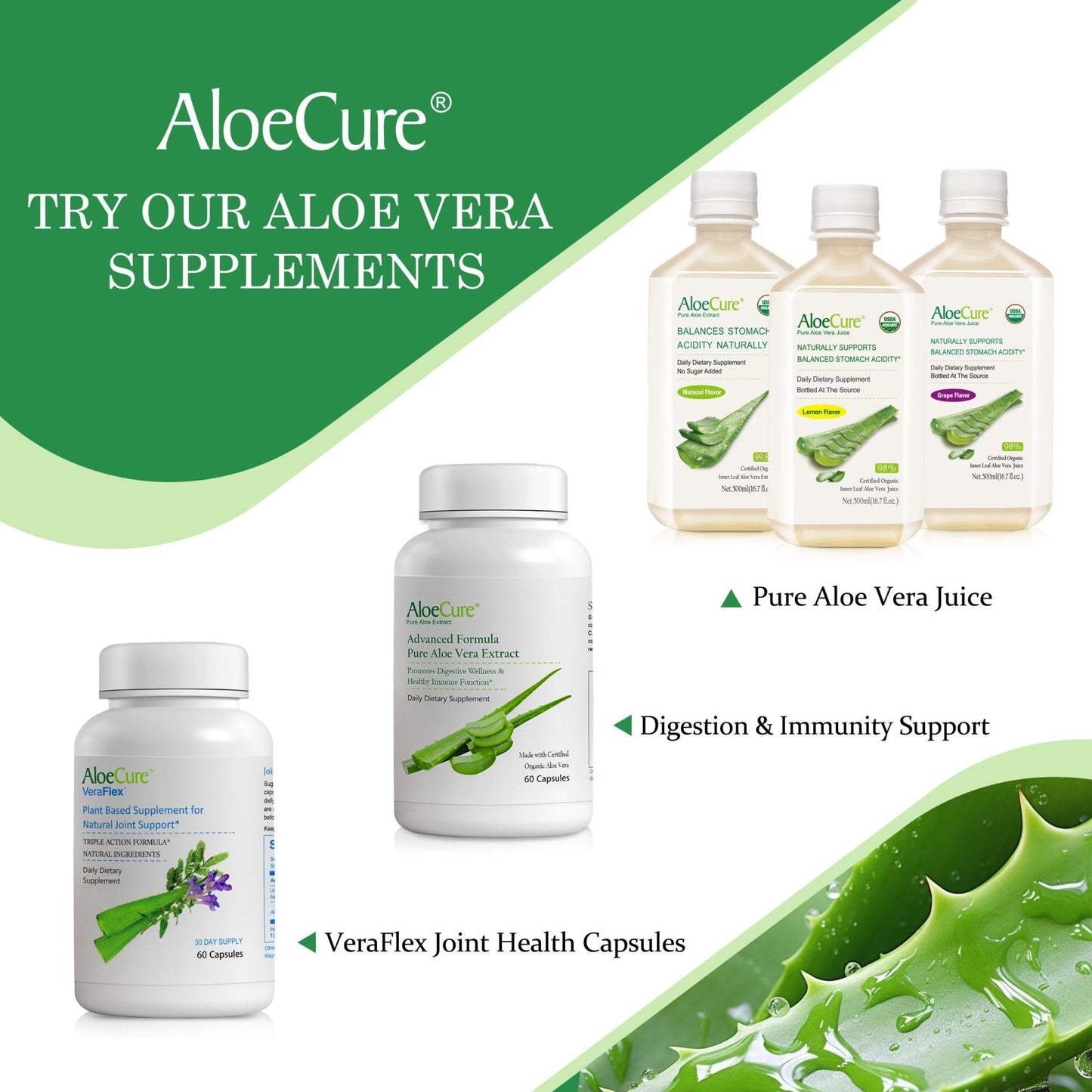 AloeCure Daily Probiotics 10 Billion CFU for Digestive Support 8 Strains, 6 Prebiotics & Enzymes - Digestive Supplement with Bromelain for Women & Men - Maple Wellness Supplements