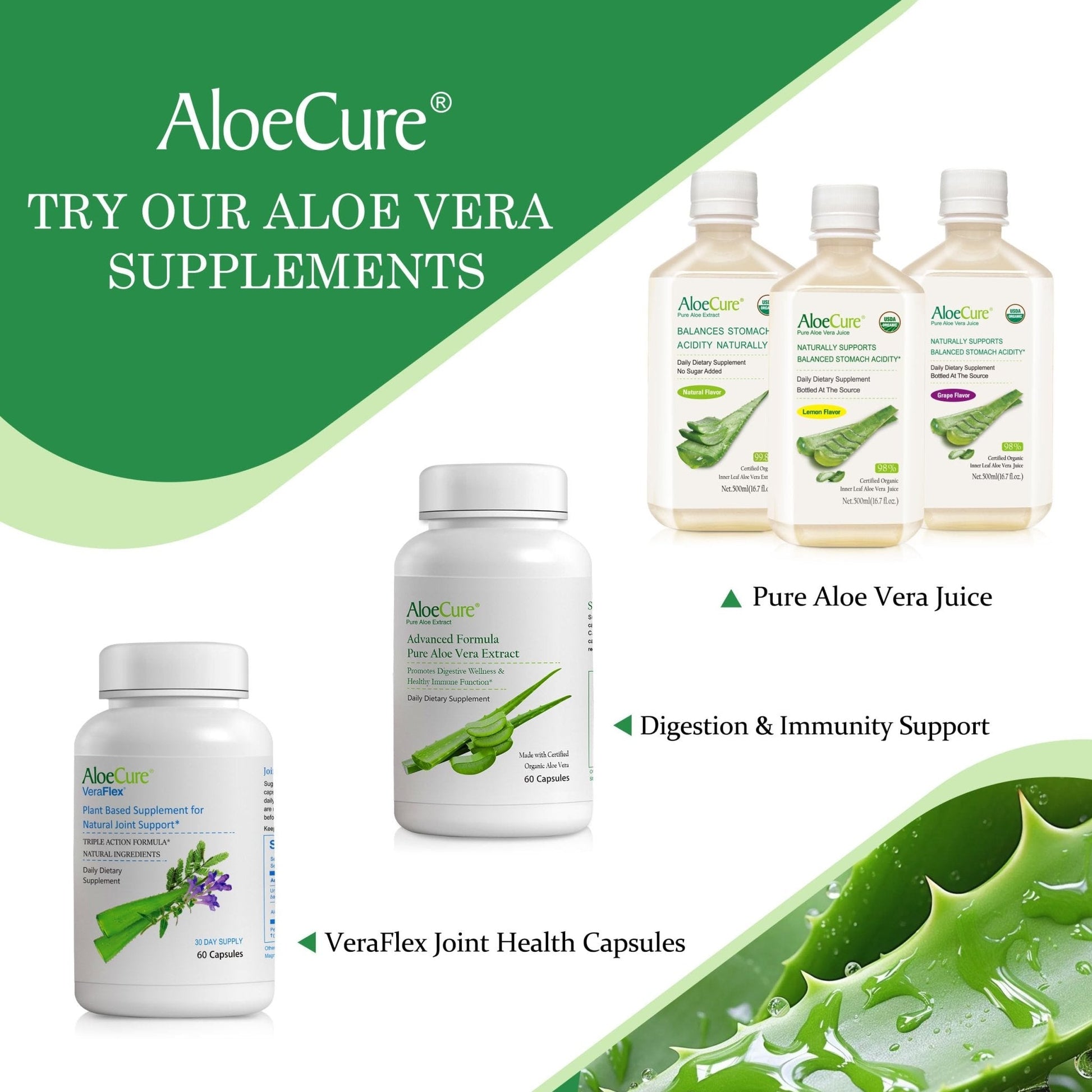 AloeCure Daily Probiotics 10 Billion CFU for Digestive Support 8 Strains, 6 Prebiotics & Enzymes - Digestive Supplement with Bromelain for Women & Men - Maple Wellness Supplements