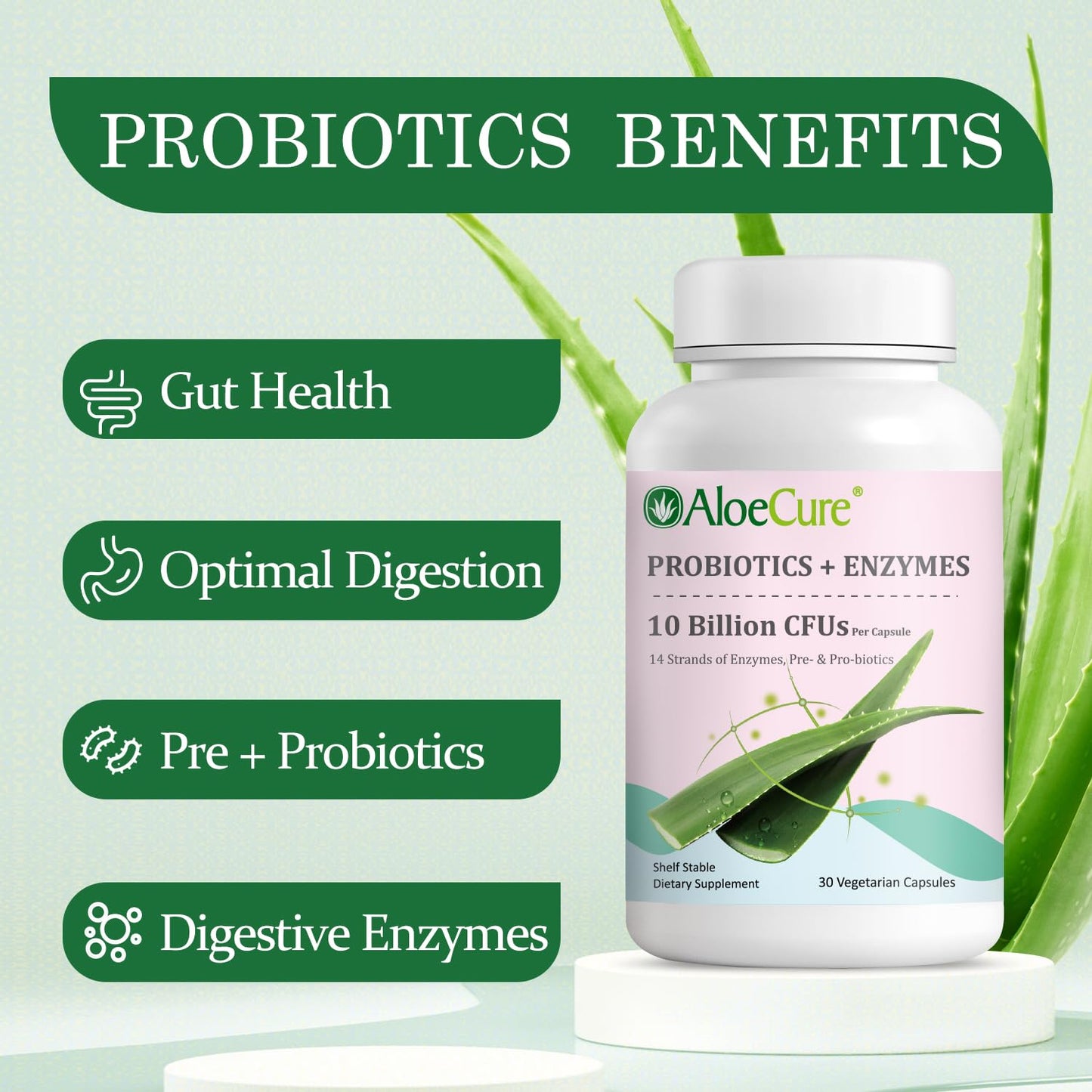 AloeCure Daily Probiotics 10 Billion CFU for Digestive Support 8 Strains, 6 Prebiotics & Enzymes - Digestive Supplement with Bromelain for Women & Men - Maple Wellness Supplements