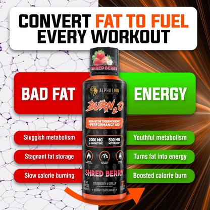ALPHA LION Burn2O L-Carnitine Liquid 2000mg, Premium Liquid Fat Burner & Pre-Workout Supplement for Men & Women - Natural Energy & Metabolism Booster - Maple Wellness Supplements