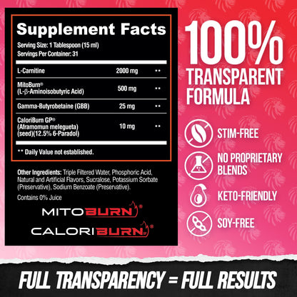 ALPHA LION Burn2O L-Carnitine Liquid 2000mg, Premium Liquid Fat Burner & Pre-Workout Supplement for Men & Women - Natural Energy & Metabolism Booster - Maple Wellness Supplements