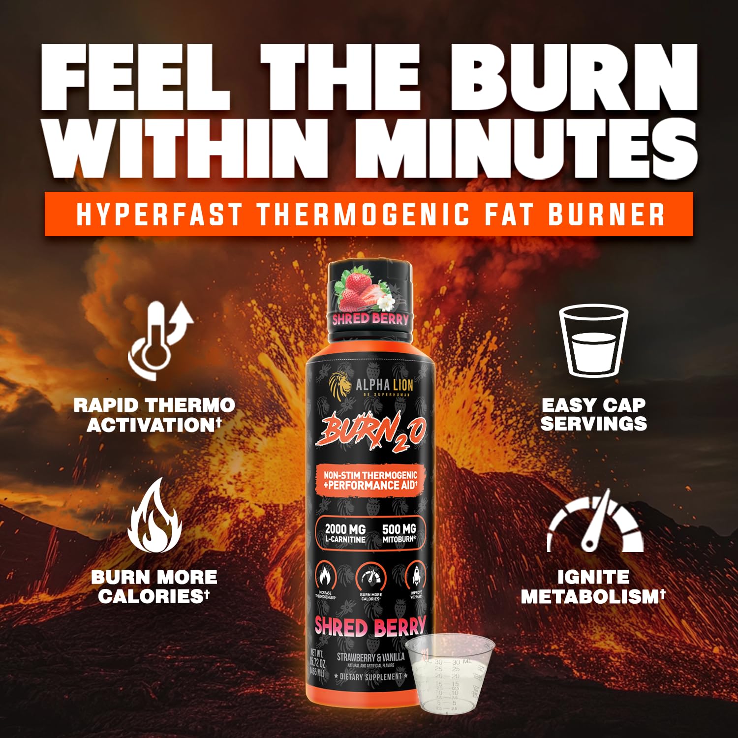 ALPHA LION Burn2O L-Carnitine Liquid 2000mg, Premium Liquid Fat Burner & Pre-Workout Supplement for Men & Women - Natural Energy & Metabolism Booster - Maple Wellness Supplements