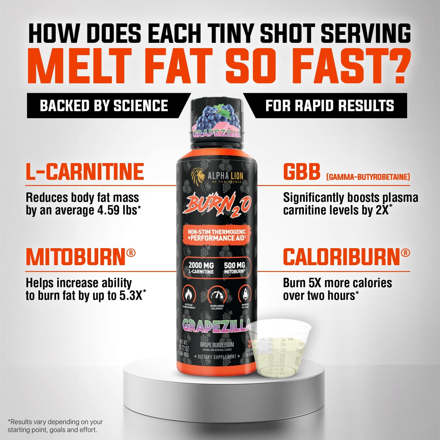 ALPHA LION Burn2O L-Carnitine Liquid 2000mg – Stim Free Super Thermogenic Fat Burner with MitoBurn® & CaloriBurn GP®, Metabolism Booster, Zero Calorie - Maple Wellness Supplements
