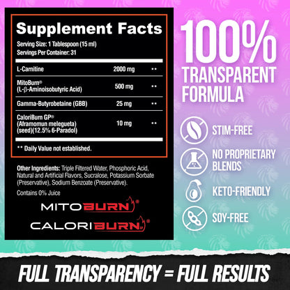 ALPHA LION Burn2O L-Carnitine Liquid 2000mg – Stim Free Super Thermogenic Fat Burner with MitoBurn® & CaloriBurn GP®, Metabolism Booster, Zero Calorie - Maple Wellness Supplements