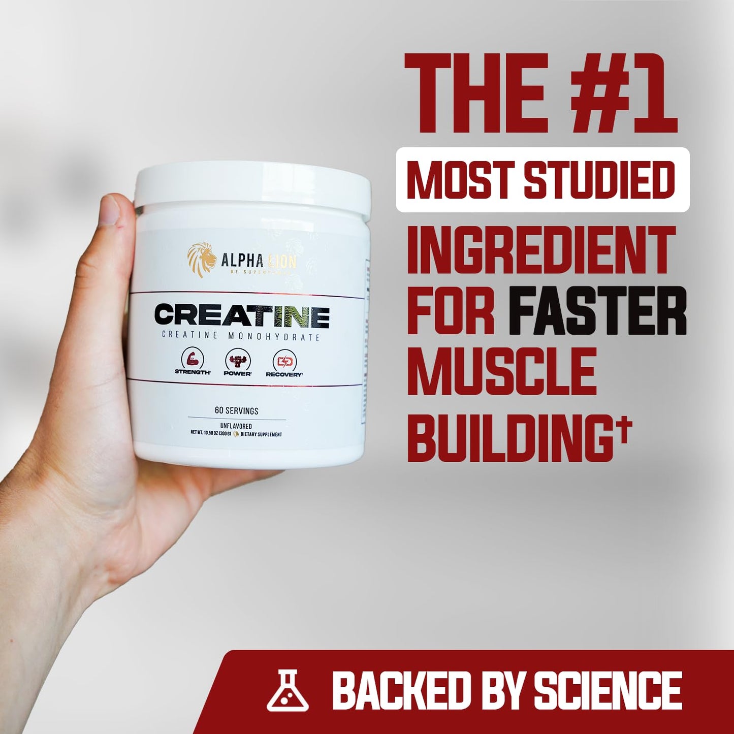 ALPHA LION Creatine Monohydrate Powder, 5000mg Per Serving (5g), Supports Muscle Strength, Power, Athletic Performance, Pure Creatina Monohydrata - Maple Wellness Supplements