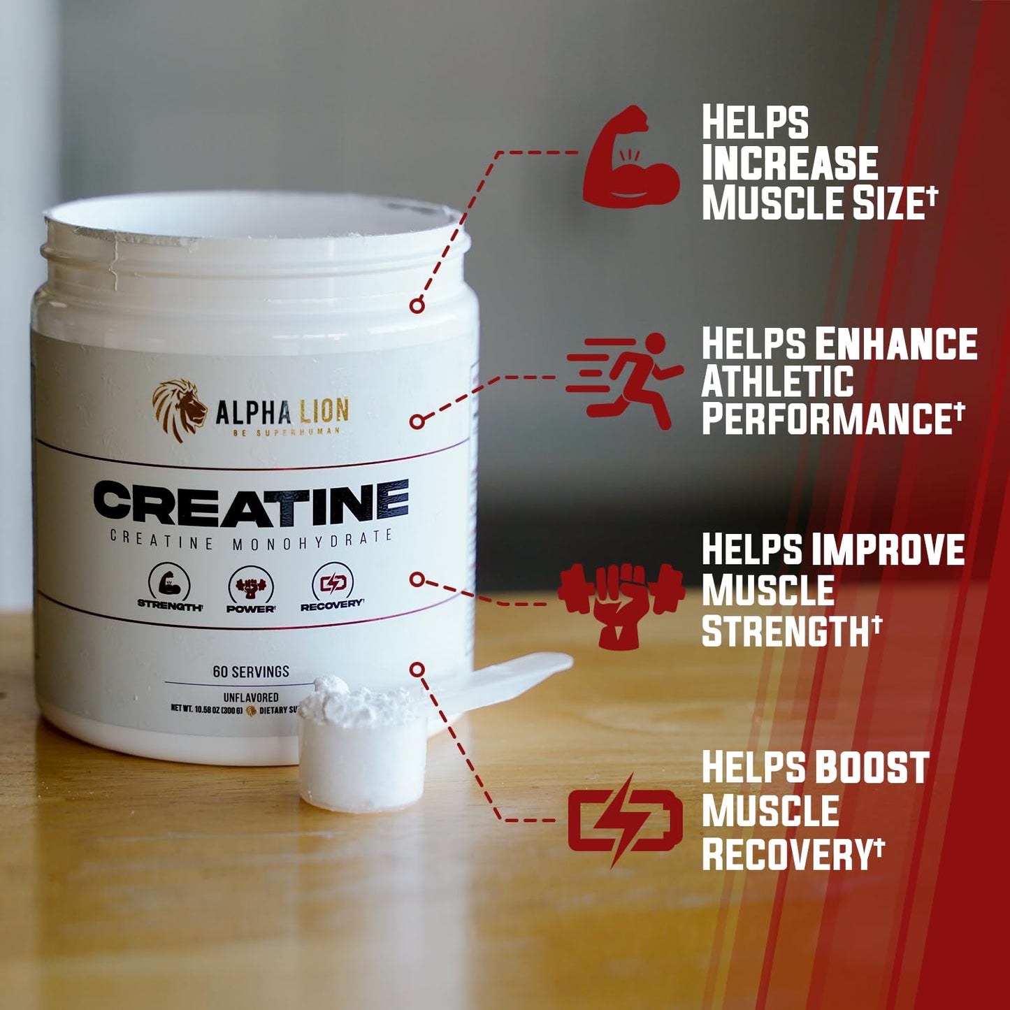 ALPHA LION Creatine Monohydrate Powder, 5000mg Per Serving (5g), Supports Muscle Strength, Power, Athletic Performance, Pure Creatina Monohydrata - Maple Wellness Supplements
