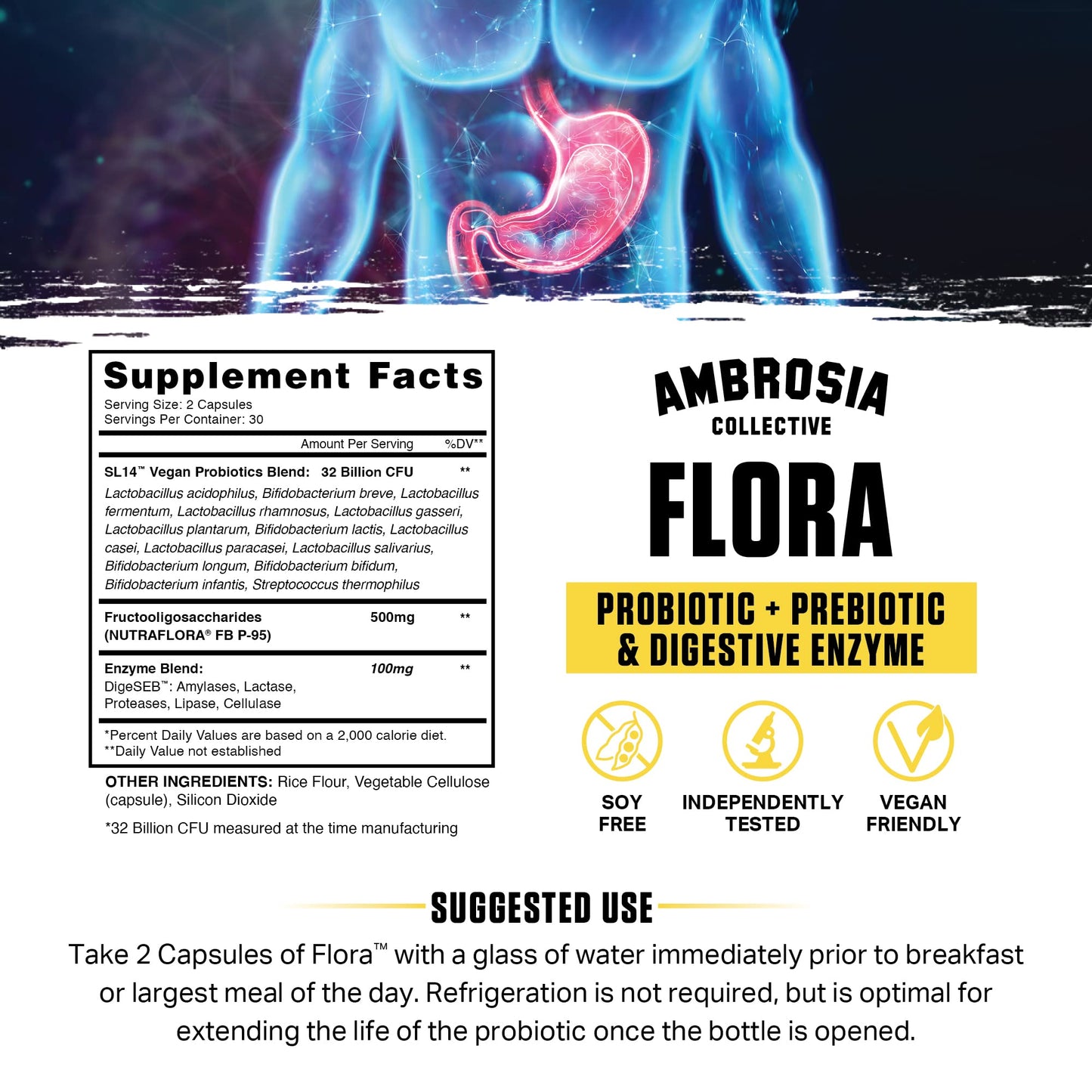 Ambrosia Flora Digestive Enzymes with Probiotics & Prebiotics | 32 Billion CFU Gut Health Supplement | Plant Based, Vegan Probiotic | 60 Veggie Capsules (30 Servings) - Maple Wellness Supplements