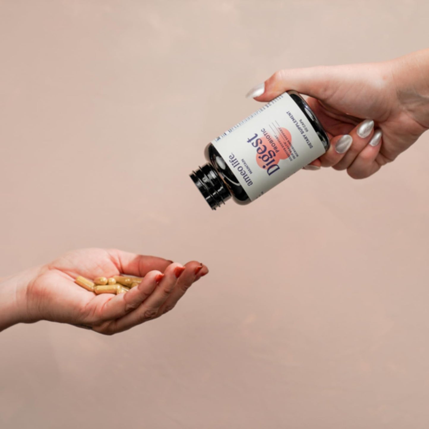 Ameo Life Probiotic for Digestive & Gut Health – Bacillus Subtilis & Bacillus Coagulans with Aloe Vera, Turmeric, Psyllium, Slippery Elm - Maple Wellness Supplements