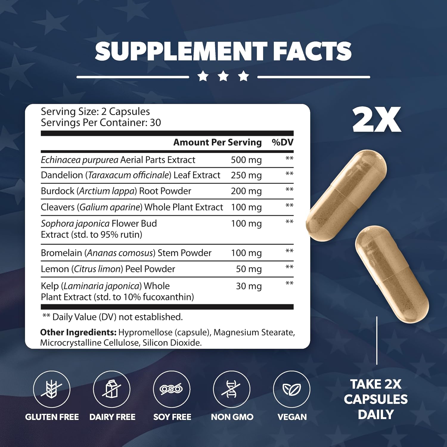 AMERICAN VITALITY LymphaVive Lymphatic Drainage Supplements for Men & Women - Lymphatic Support with Bromelain, Echinacea, Burdock Root, Dandelion, Rutin, Kelp - 60 Capsules - Maple Wellness Supplements