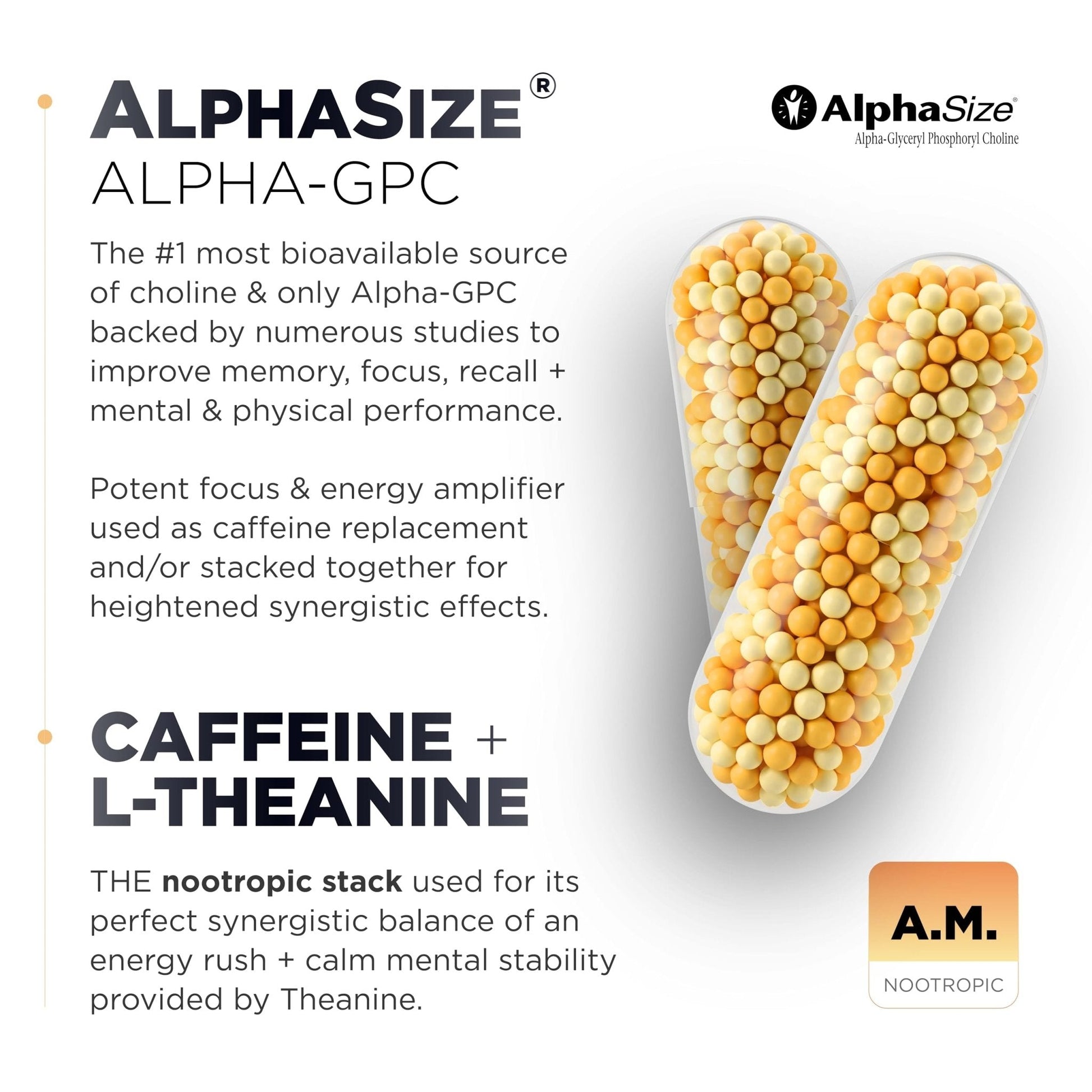 AMPM Nootropic Total Focus + Calm 9X Strength w. Caffeine, L-Theanine, Alpha GPC, L-Tyrosine, Ashwagandha - X-Release Energy Pills Nootropics Brain Support Supplements for Memory and Focus Supplement - Maple Wellness Supplements